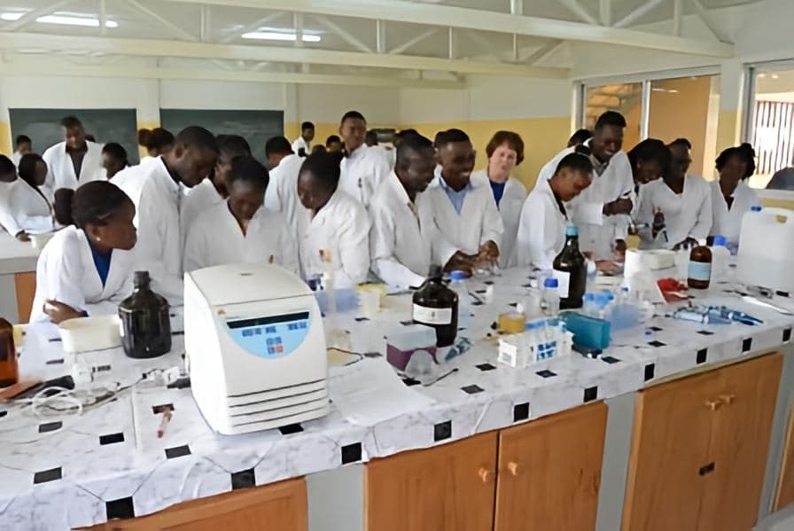 Séance de travaux pratiques en laboratoire à la Faculté de Médecine